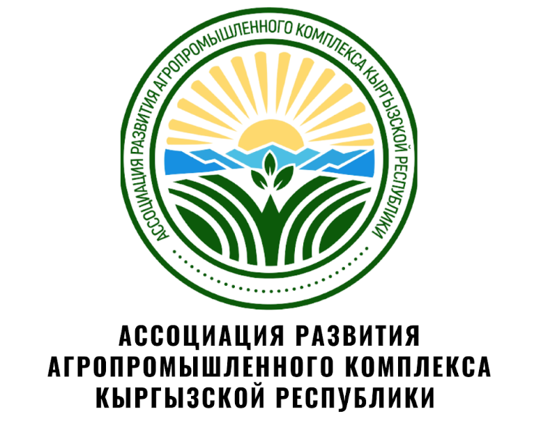 Тойбосс Партнеры