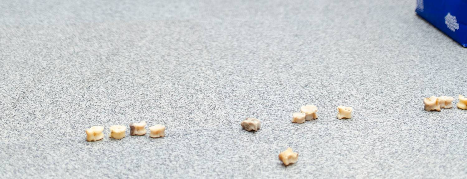 Тойбосс "Тойбосс" "Короо оюндары" аттуу китепти сунуштады — бул долбоор балдардын жандуу баарлашуусун жана активдүүлүгүн өнүктүрүүгө багытталган