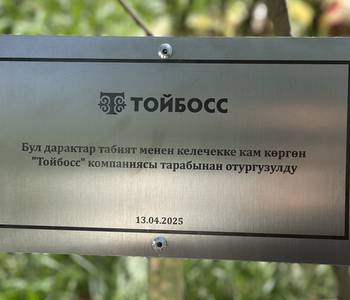 Тойбосс Тойбосс высадил деревья в Карагачевой роще в рамках экологической акции АУЦА